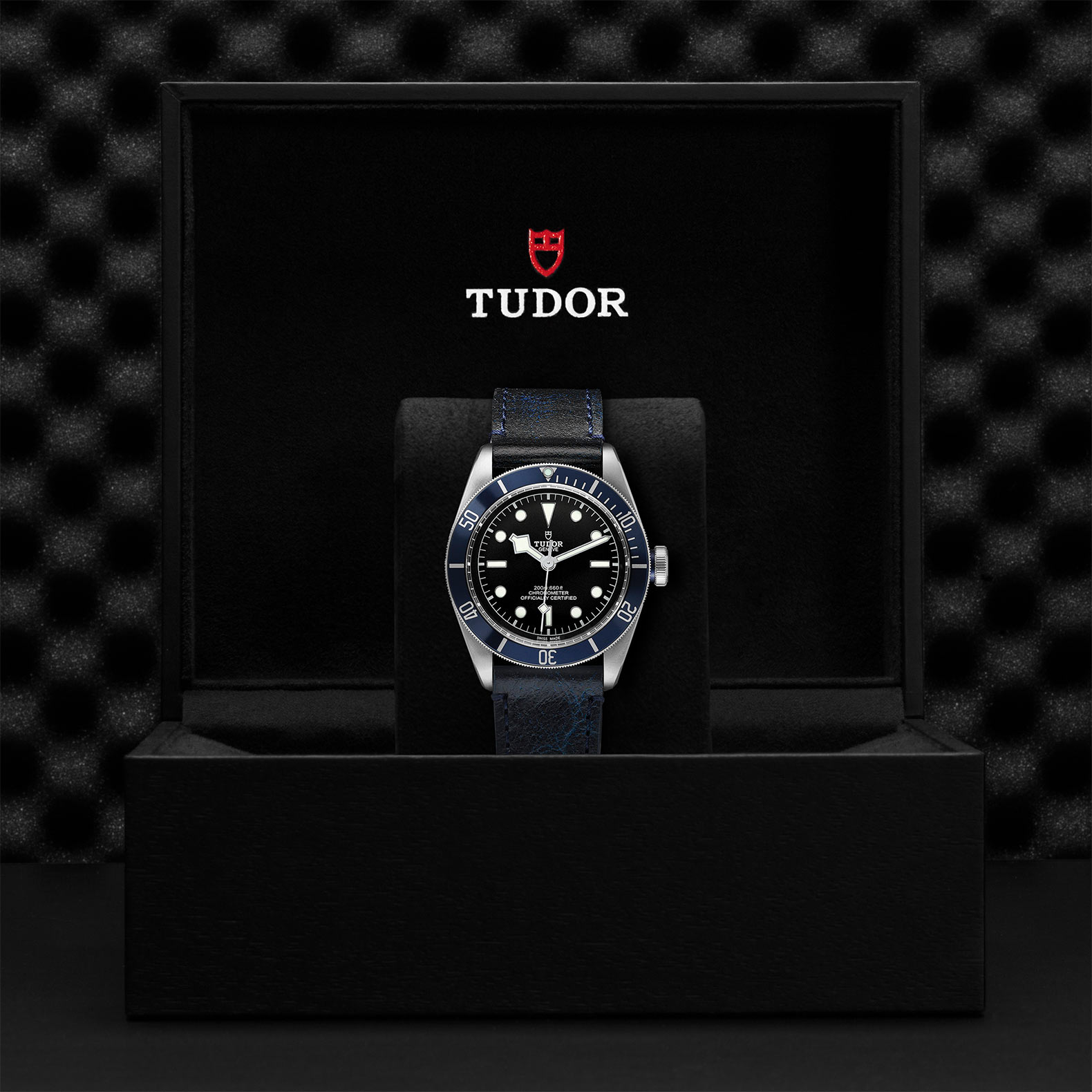 Tudor_M79230b-0007