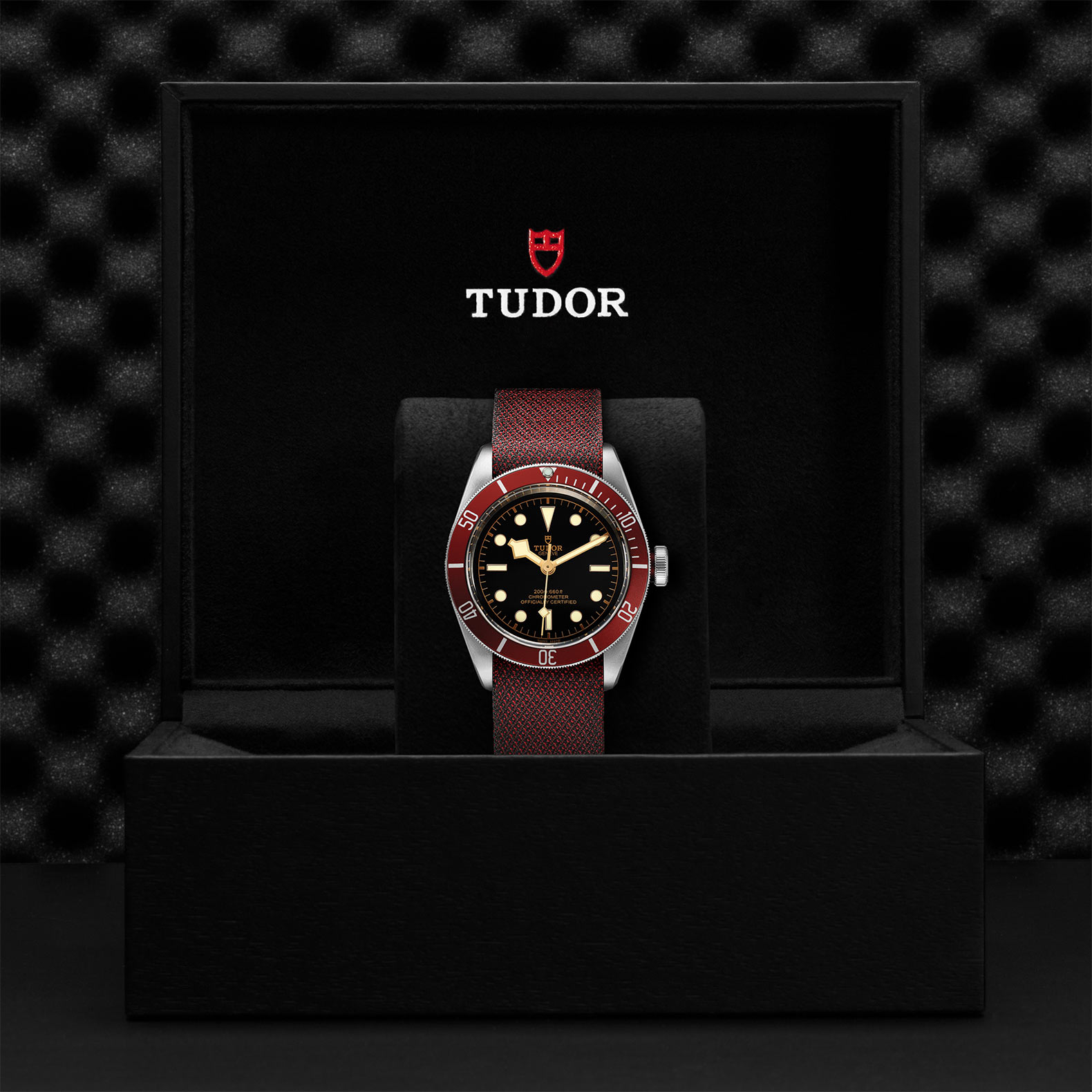 Tudor_M79230r-0009