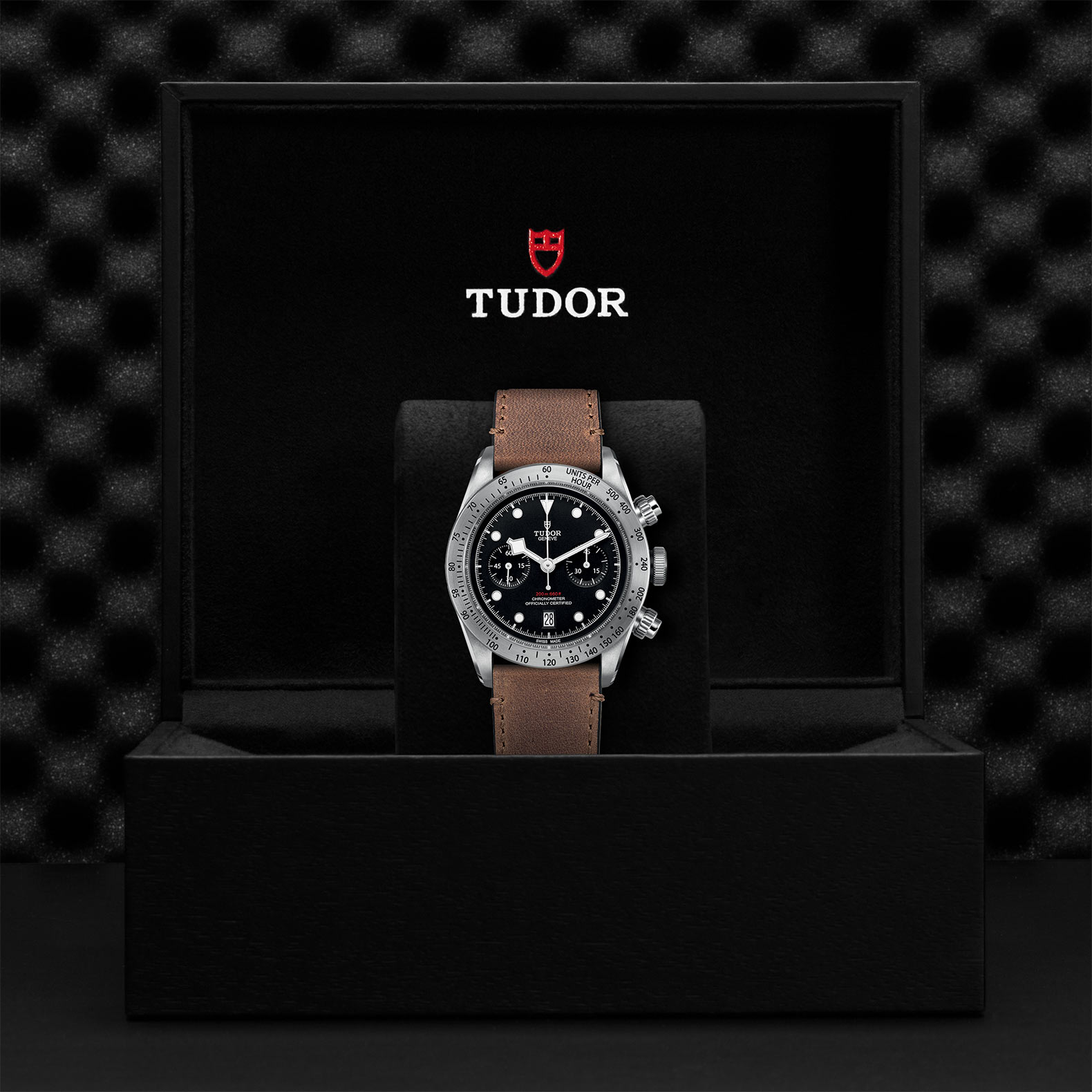 Tudor_M79350-0005
