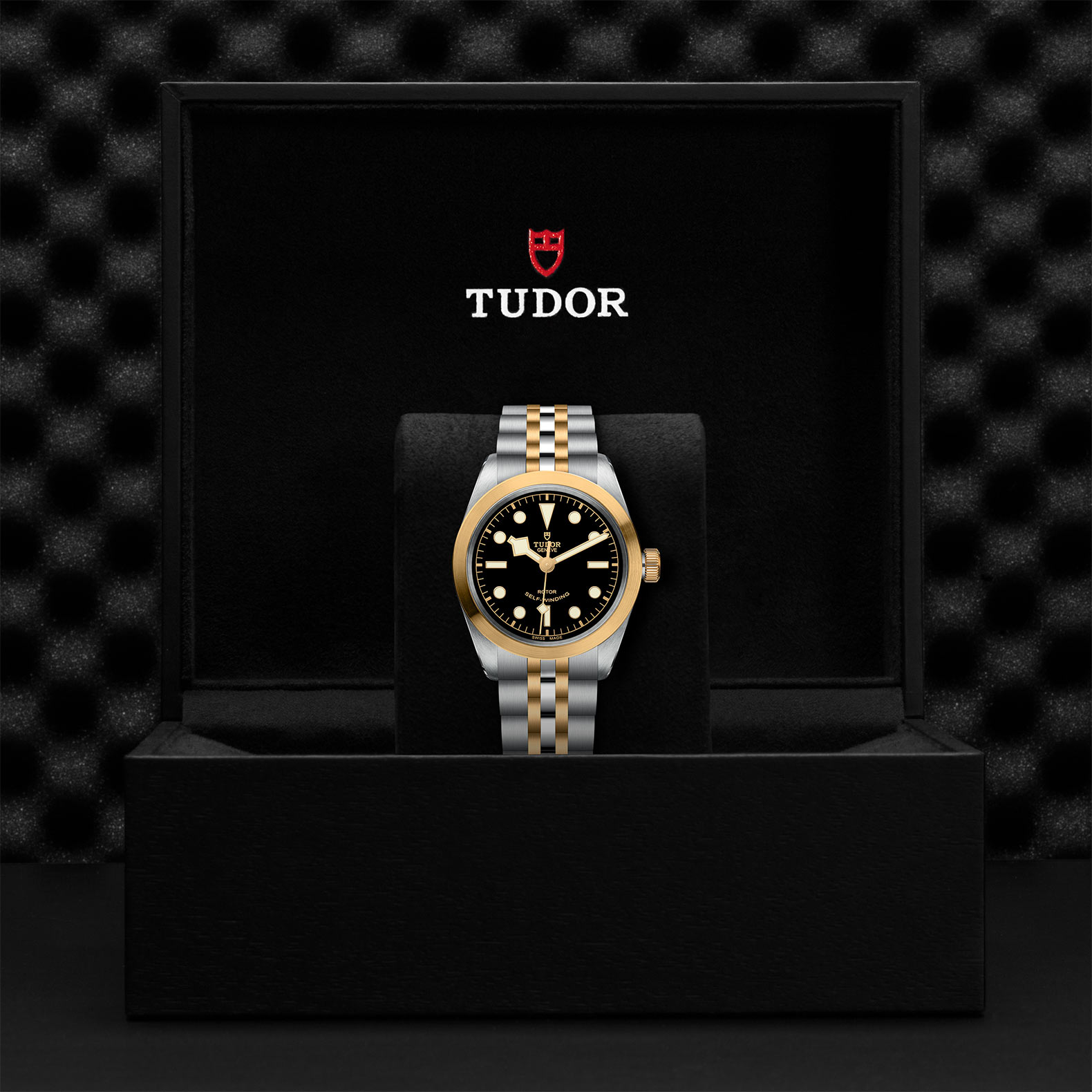 Tudor_M79503-0001